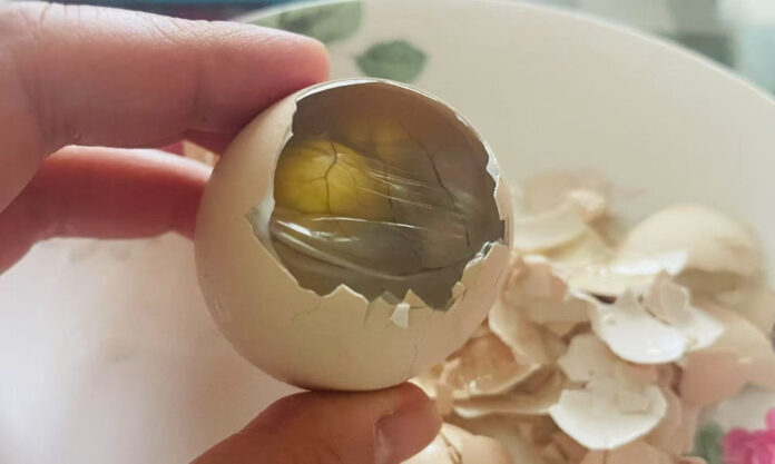 The Nanjinger - Would You Eat an Unborn Chicken Fetus? The Nanjinger - Would You Eat an Unborn Chicken Fetus?