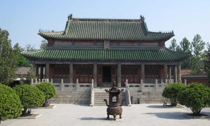 The Nanjinger - Heze; Peonies, Rail And A Border City That Refuses to Stay Small