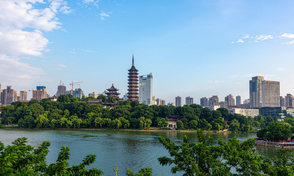 The Nanjinger - Xinyang; Tea, Rain & the Softer Edge of Henan
