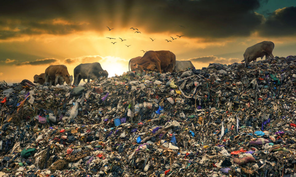 The Nanjinger - Indonesia’s Garbage Gamble Hands Chinese Firms the Edge
