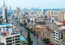 The Nanjinger - Suizhou, Bells, Shennong and a Catholic Footnote