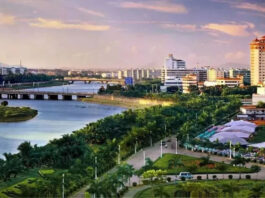 The Nanjinger - Maoming; the City that Grows a Fifth of the World's Lychees
