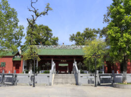 The Nanjinger - Meizhou; the Small City that Taught China How to Play Football