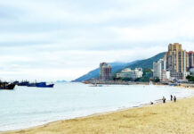 The Nanjinger - Shantou; the City Where a Typhoon Killed Tens of Thousands