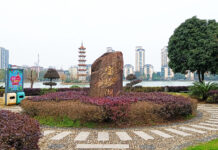 The Nanjinger - Yiyang; The City that Inherited an Entire Industry after a Government Shutdown