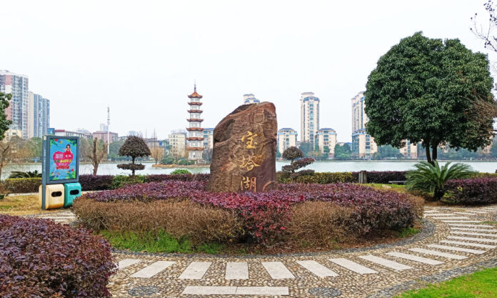 The Nanjinger - Yiyang; The City that Inherited an Entire Industry after a Government Shutdown