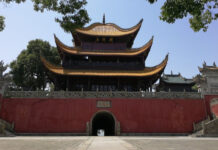 The Nanjinger - Yueyang; Schoolchildren take Note of the Essay with Unique Credentials