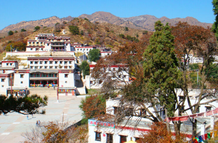 The Nanjinger - Baotou; Rare Earths, Soviet Steel and the Place with Deer