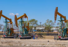 The Nanjinger - Daqing; the Oil City Named for a Birthday and Held Up to a Nation