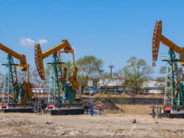 The Nanjinger - Daqing; the Oil City Named for a Birthday and Held Up to a Nation