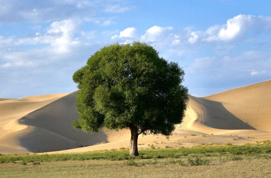 Ordos; Mainland China’s Top GDP per Head, Coal and Genghis Khan’s Shrine