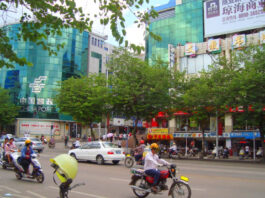The Nanjinger - Qionghai; the Farm Town where Asia's Leaders Meet and Red Women Marched