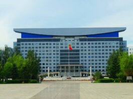 The Nanjinger - Suihua; the Grain City that Lost Nearly a Tenth of its People in Five Years