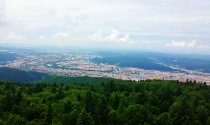The Nanjinger - Yichun; the Forest Capital that Felled 270 Million Cubic Metres and Then Stopped