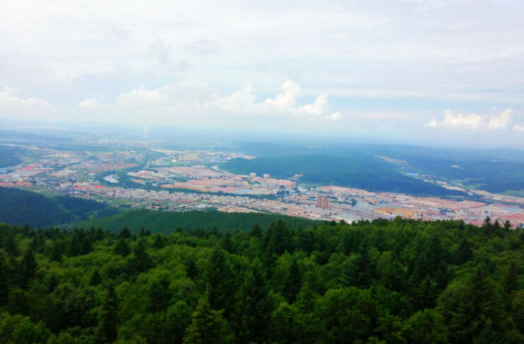 The Nanjinger - Yichun; the Forest Capital that Felled 270 Million Cubic Metres and Then Stopped